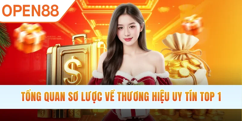 Tổng quan sơ lược về thương hiệu uy tín top 1